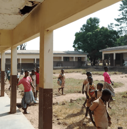 raffierkro fonds de dotation fraise enfants dans la cours de l'école